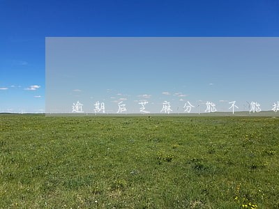 逾期后芝麻分能不能提升 逾期后芝麻分能不能提升