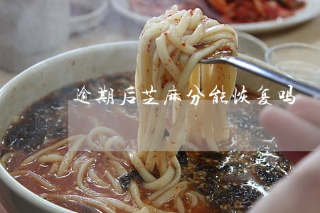 逾期后芝麻分能恢复吗