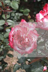 逾期后花呗借呗能延长多少时间