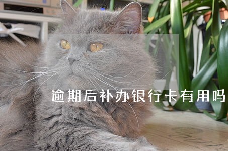 逾期后补办银行卡有用吗 逾期后补办银行卡有用吗