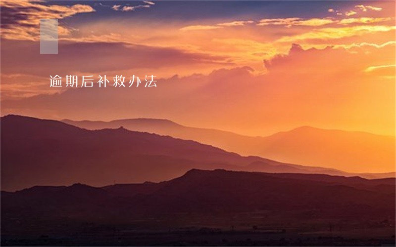 逾期后补救办法 逾期后补救办法