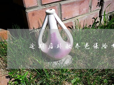 逾期后补缴养老保险影响 逾期后补缴养老保险影响
