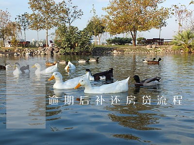逾期后补还房贷流程 逾期后补还房贷流程