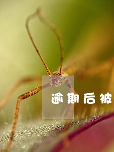 逾期后被停卡