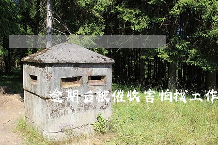 逾期后被催收害怕找工作