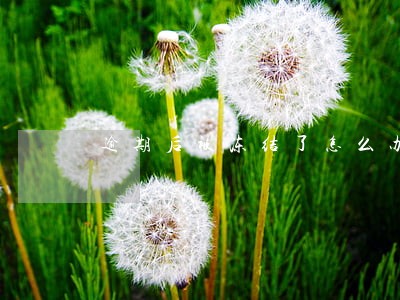 逾期后被冻结了怎么办