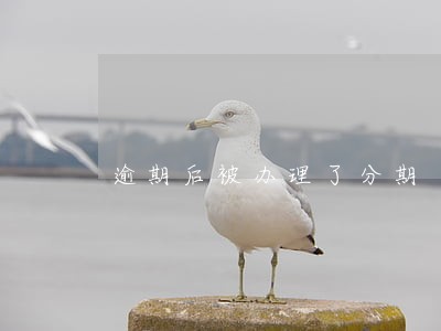 逾期后被办理了分期