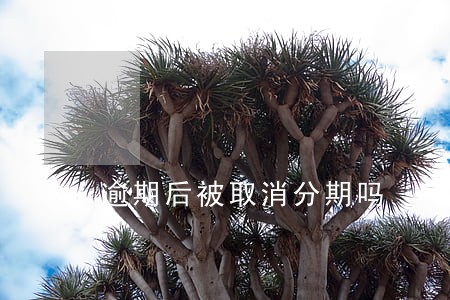 逾期后被取消分期吗 逾期后被取消分期吗