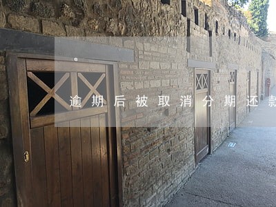 逾期后被取消分期还款 逾期后被取消分期还款