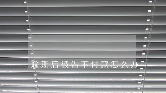 逾期后被告不付款怎么办 逾期后被告不付款怎么办