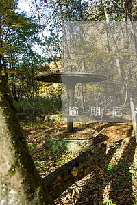 逾期后被告知已备案