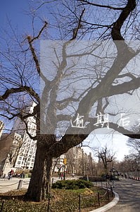 逾期后被暴力催收 逾期后被暴力催收