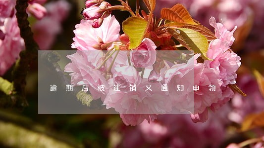 逾期后被注销又通知申领 逾期后被注销又通知申领