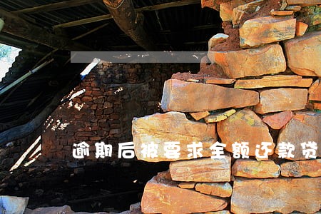 逾期后被要求全额还款贷款公司