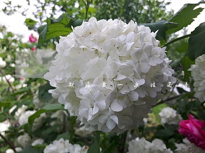 逾期后要一次性还清