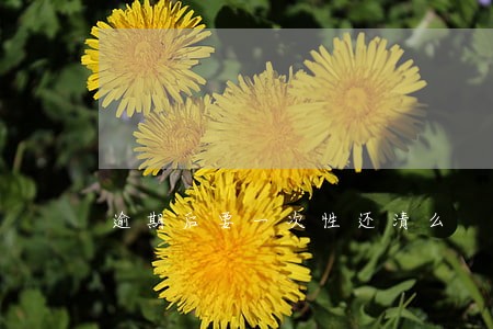 逾期后要一次性还清么 逾期后要一次性还清么