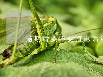 逾期后要不要打电话给客服 逾期后要不要打电话给客服