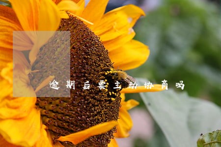 逾期后要主动协商吗 逾期后要主动协商吗