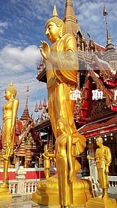逾期后要求一次还清有利息吗 逾期后要求一次还清有利息吗