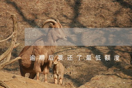 逾期后要还了最低额度 逾期后要还了最低额度
