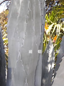 逾期后解绑的银行卡还会扣钱吗 逾期后解绑的银行卡还会扣钱吗