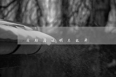 逾期后证明怎么开 逾期后证明怎么开