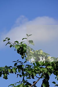 逾期后语音电话 逾期后语音电话