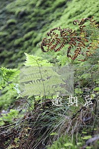 逾期后说要联系紧急联系人