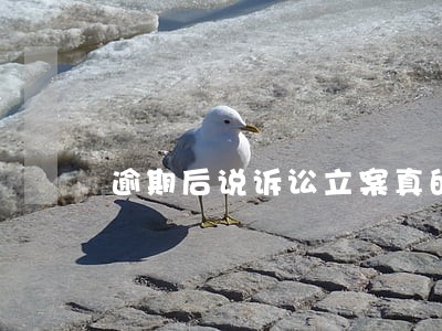 逾期后说诉讼立案真的吗 逾期后说诉讼立案真的吗
