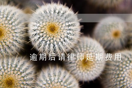 逾期后请律师延期费用