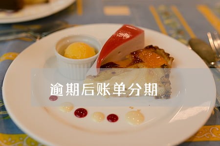 逾期后账单分期
