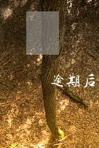 逾期后账单怎么办
