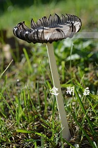逾期后账单怎么算的 逾期后账单怎么算的