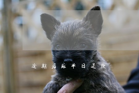 逾期后账单日还款