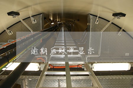 逾期后账单显示