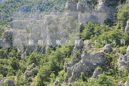 逾期后账户利息不再涨算是呆帐吗 逾期后账户利息不再涨算是呆帐吗