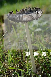 逾期后账户钱先扣表外利息吗 逾期后账户钱先扣表外利息吗