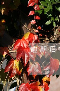 逾期后贷后让提供还款能力证明 逾期后贷后让提供还款能力证明