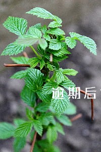 逾期后贷款公司会 逾期后贷款公司会