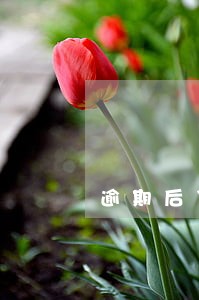 逾期后贷款公司找上班公司 逾期后贷款公司找上班公司
