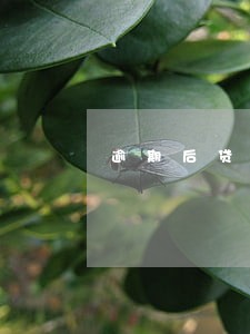 逾期后贷款额度冻结 逾期后贷款额度冻结