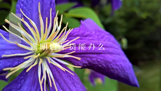 逾期后车贷能办么 逾期后车贷能办么