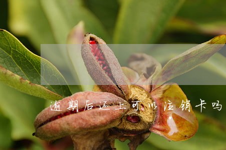 逾期后还上可以注销卡吗 逾期后还上可以注销卡吗