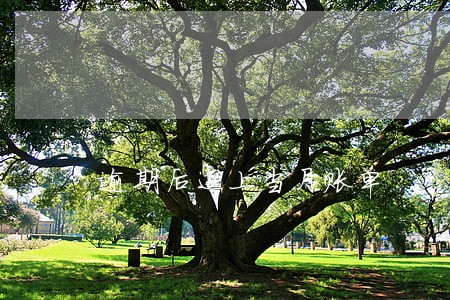 逾期后还上当月账单 逾期后还上当月账单