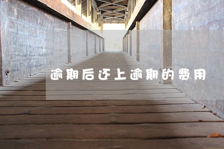 逾期后还上逾期的费用 逾期后还上逾期的费用