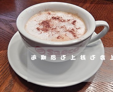 逾期后还上钱还会上上征信吗 逾期后还上钱还会上上征信吗