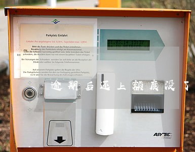 逾期后还上额度没了怎么办 逾期后还上额度没了怎么办