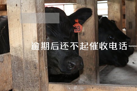 逾期后还不起催收电话一直打 逾期后还不起催收电话一直打
