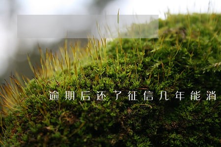 逾期后还了征信几年能消除 逾期后还了征信几年能消除