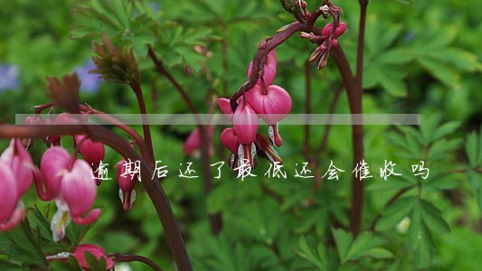 逾期后还了最低还会催收吗 逾期后还了最低还会催收吗